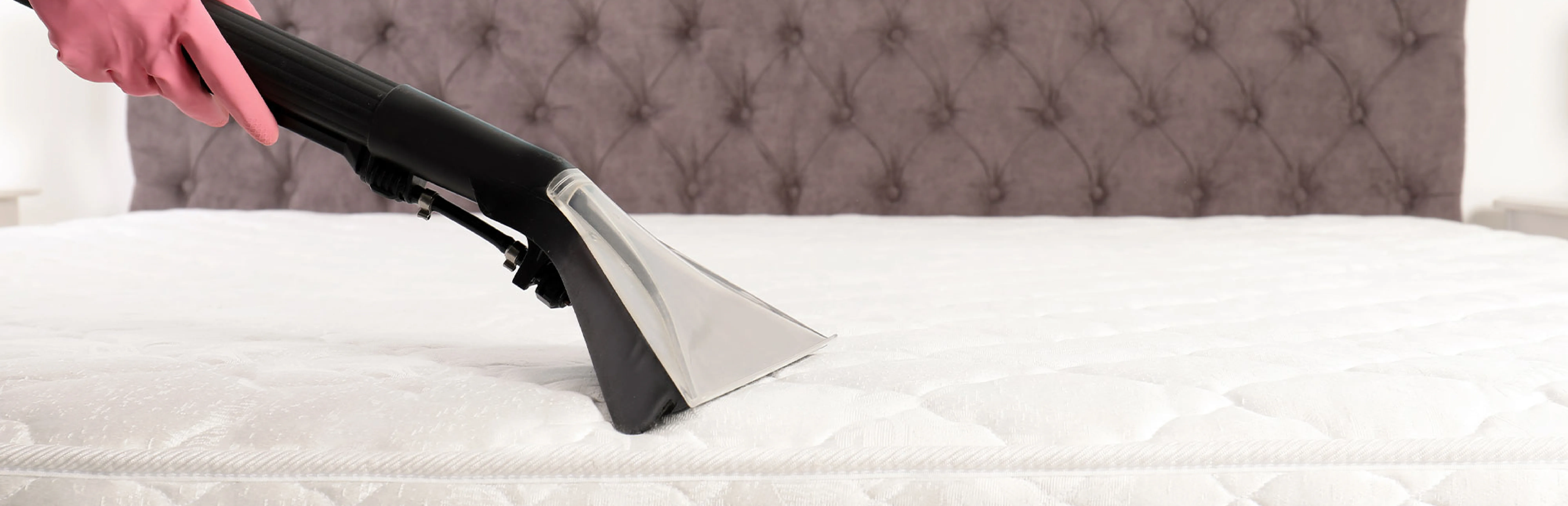 carpet cleaning in the rockland, carpet cleaning in the rockland, carpet cleaning the rockland, carpet cleaners in the rockland, carpet cleaners in the rockland, commercial carpet cleaning, commercial carpet cleaning in the rockland, the rockland rug cleaners, rug cleaning services in the rockland, same day carpet cleaning, same day rug cleaning