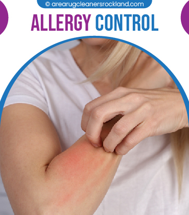 carpet cleaning in the rockland, carpet cleaning in the rockland, carpet cleaning the rockland, carpet cleaners in the rockland, carpet cleaners in the rockland, commercial carpet cleaning, commercial carpet cleaning in the rockland, the rockland rug cleaners, rug cleaning services in the rockland, same day carpet cleaning, same day rug cleaning