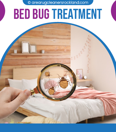 carpet cleaning in the rockland, carpet cleaning in the rockland, carpet cleaning the rockland, carpet cleaners in the rockland, carpet cleaners in the rockland, commercial carpet cleaning, commercial carpet cleaning in the rockland, the rockland rug cleaners, rug cleaning services in the rockland, same day carpet cleaning, same day rug cleaning