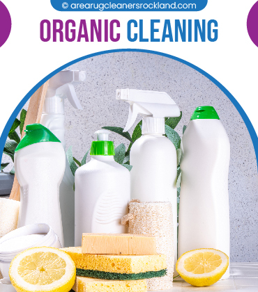 carpet cleaning in the rockland, carpet cleaning in the rockland, carpet cleaning the rockland, carpet cleaners in the rockland, carpet cleaners in the rockland, commercial carpet cleaning, commercial carpet cleaning in the rockland, the rockland rug cleaners, rug cleaning services in the rockland, same day carpet cleaning, same day rug cleaning