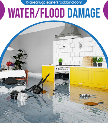 carpet cleaning in the rockland, carpet cleaning in the rockland, carpet cleaning the rockland, carpet cleaners in the rockland, carpet cleaners in the rockland, commercial carpet cleaning, commercial carpet cleaning in the rockland, the rockland rug cleaners, rug cleaning services in the rockland, same day carpet cleaning, same day rug cleaning